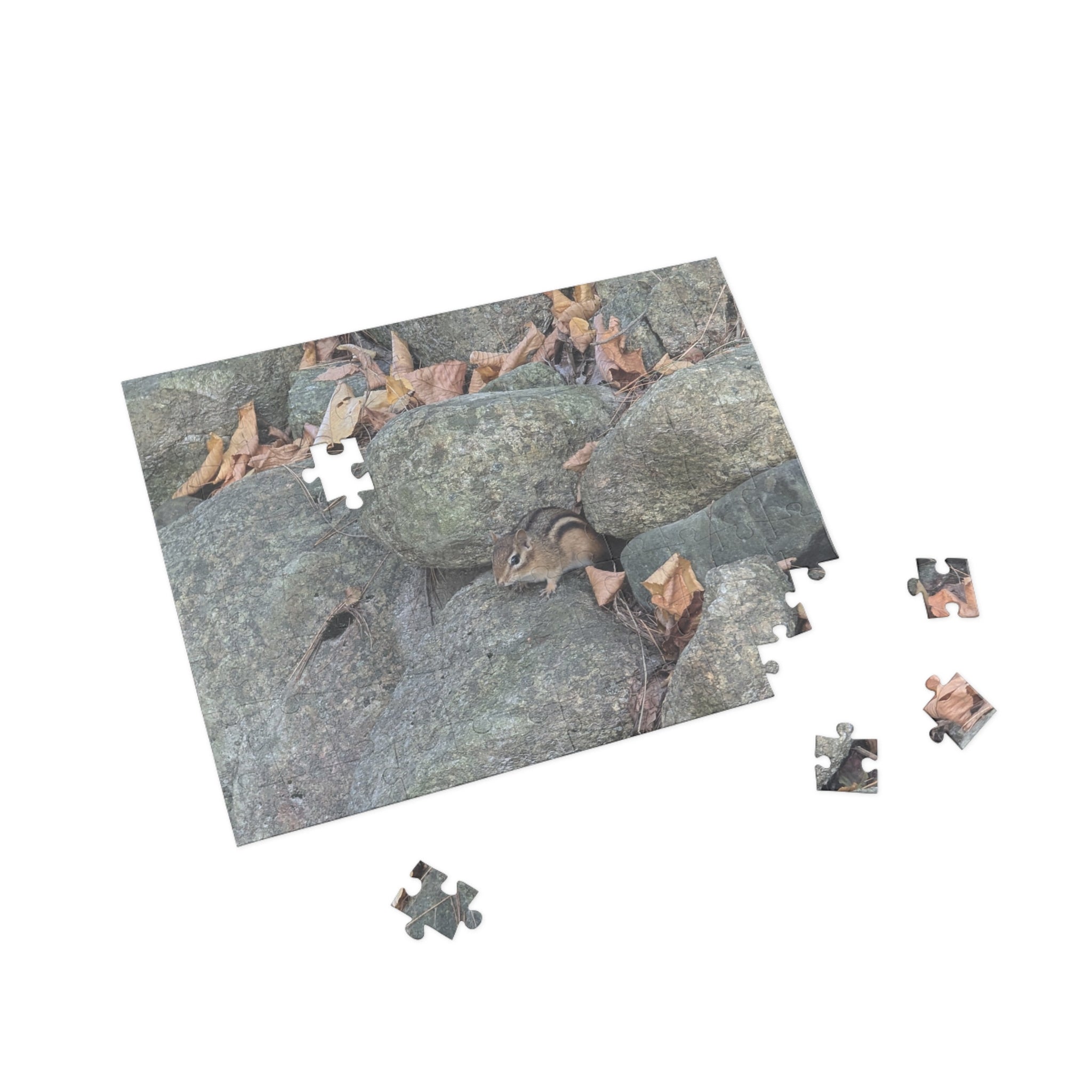 chipmunk Puzzle (96, 252, 500, 1000-Piece)