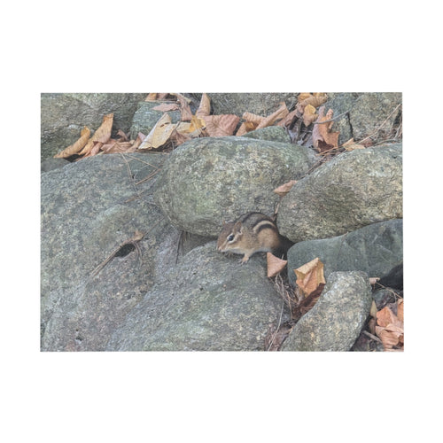 chipmunk Puzzle (96, 252, 500, 1000-Piece)