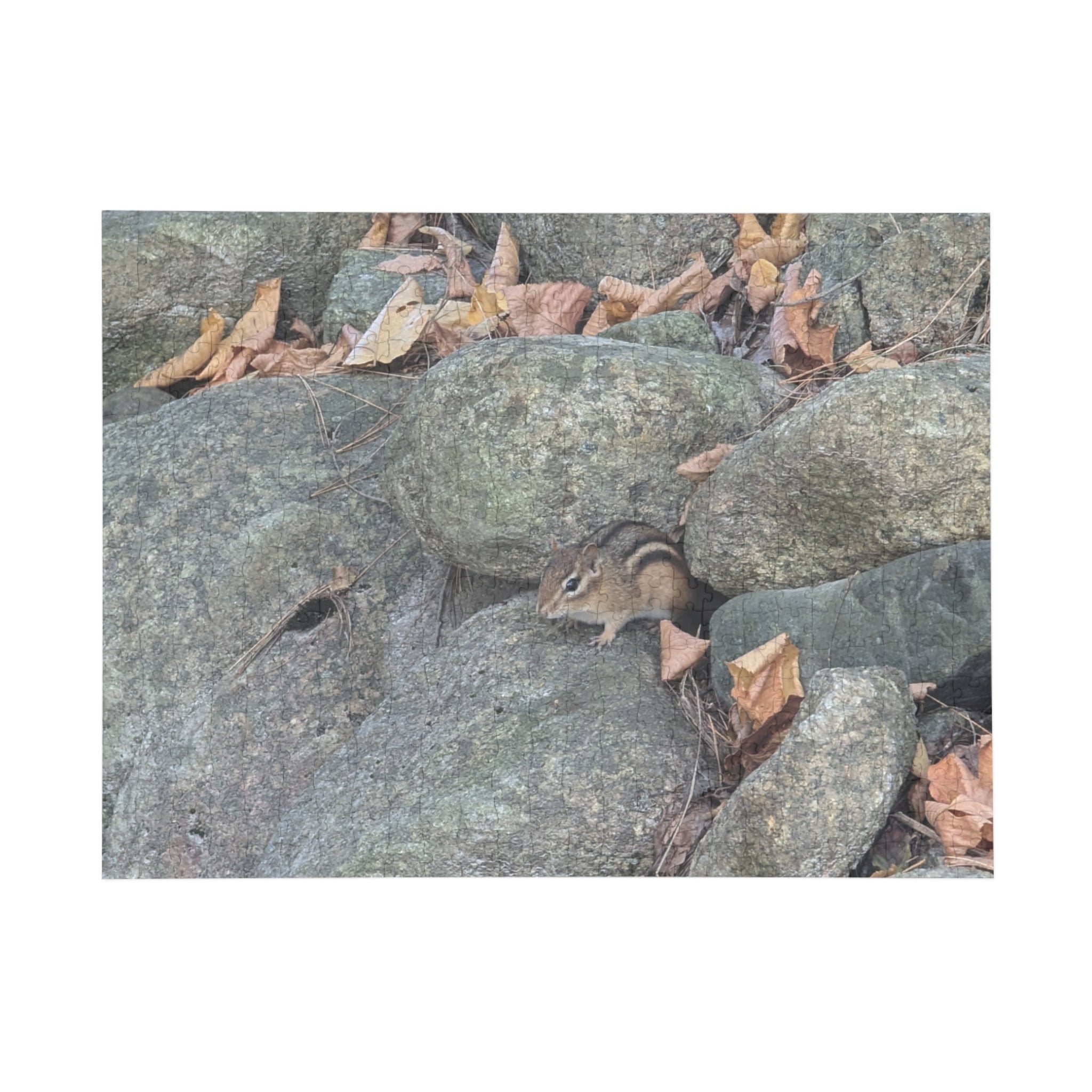 chipmunk Puzzle (96, 252, 500, 1000-Piece)