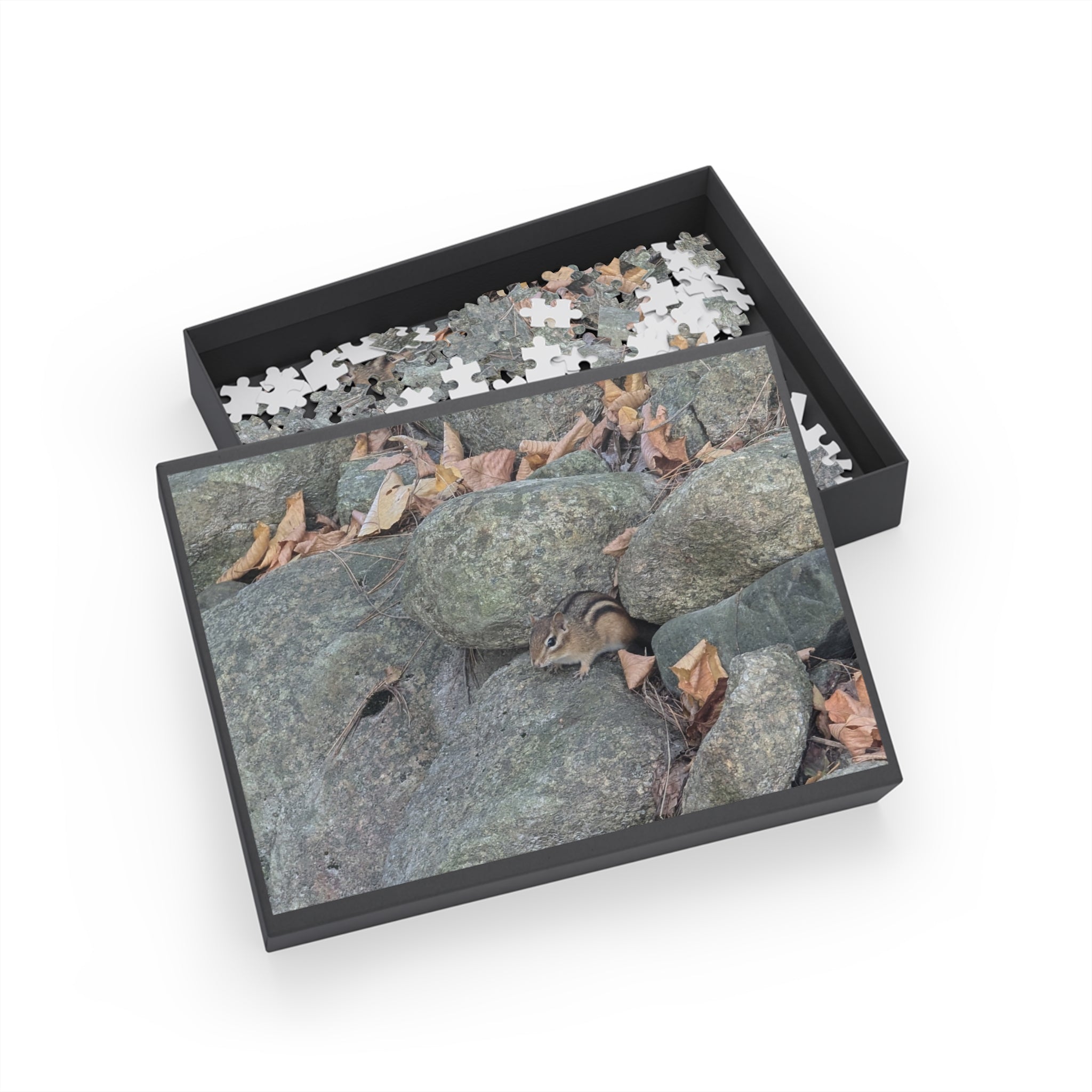 chipmunk Puzzle (96, 252, 500, 1000-Piece)