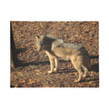 wolf Puzzle (96, 252, 500, 1000-Piece)