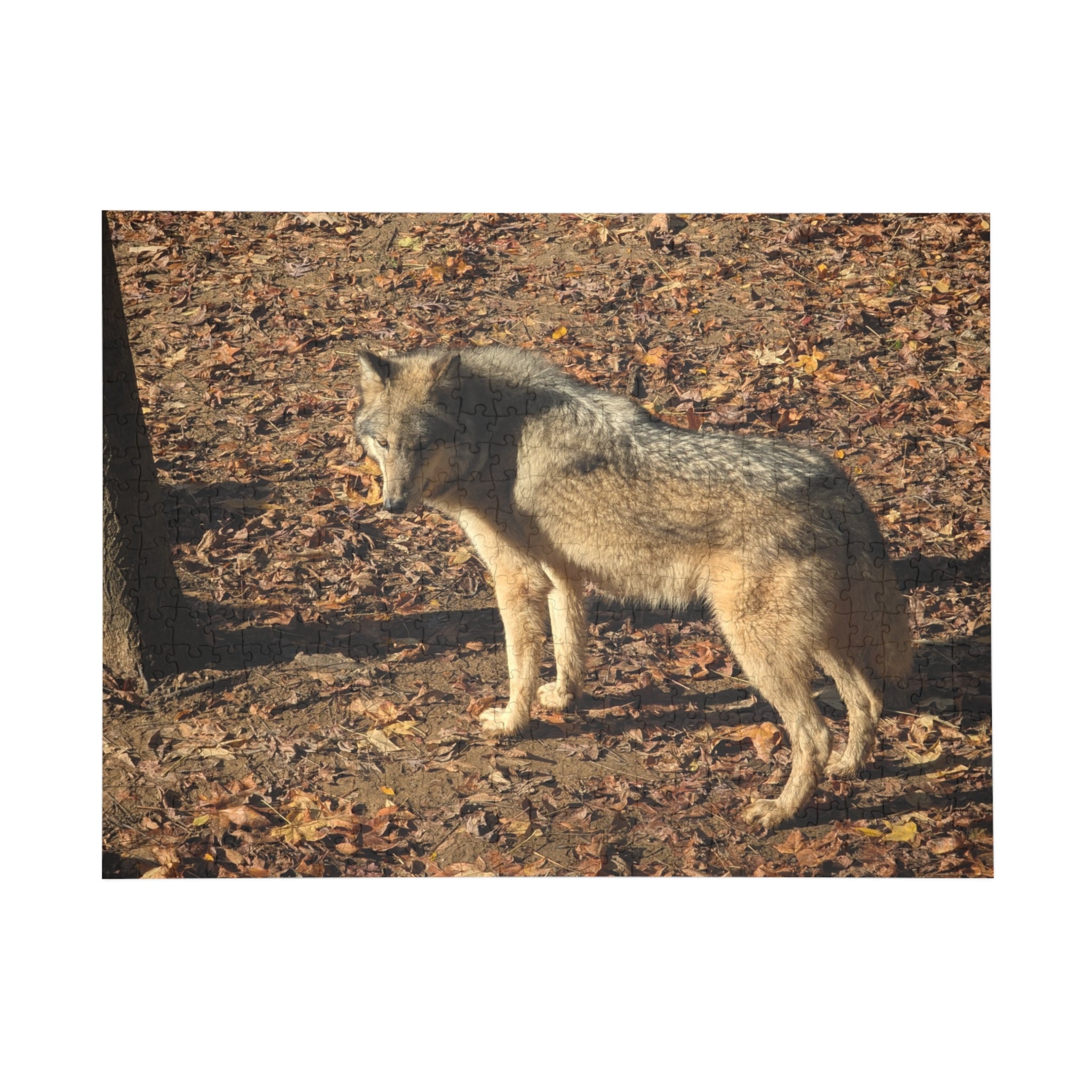 wolf Puzzle (96, 252, 500, 1000-Piece)