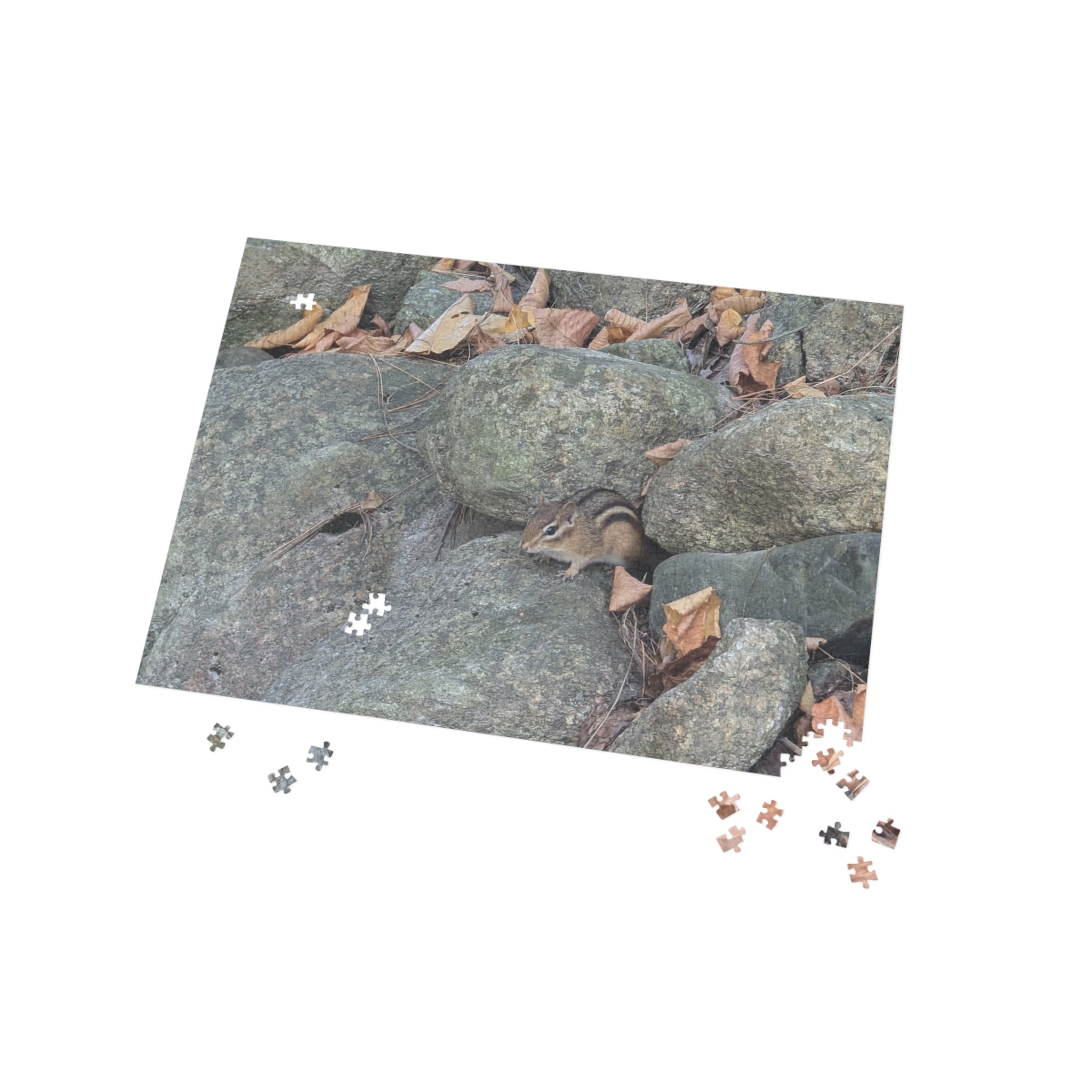 chipmunk Puzzle (96, 252, 500, 1000-Piece)