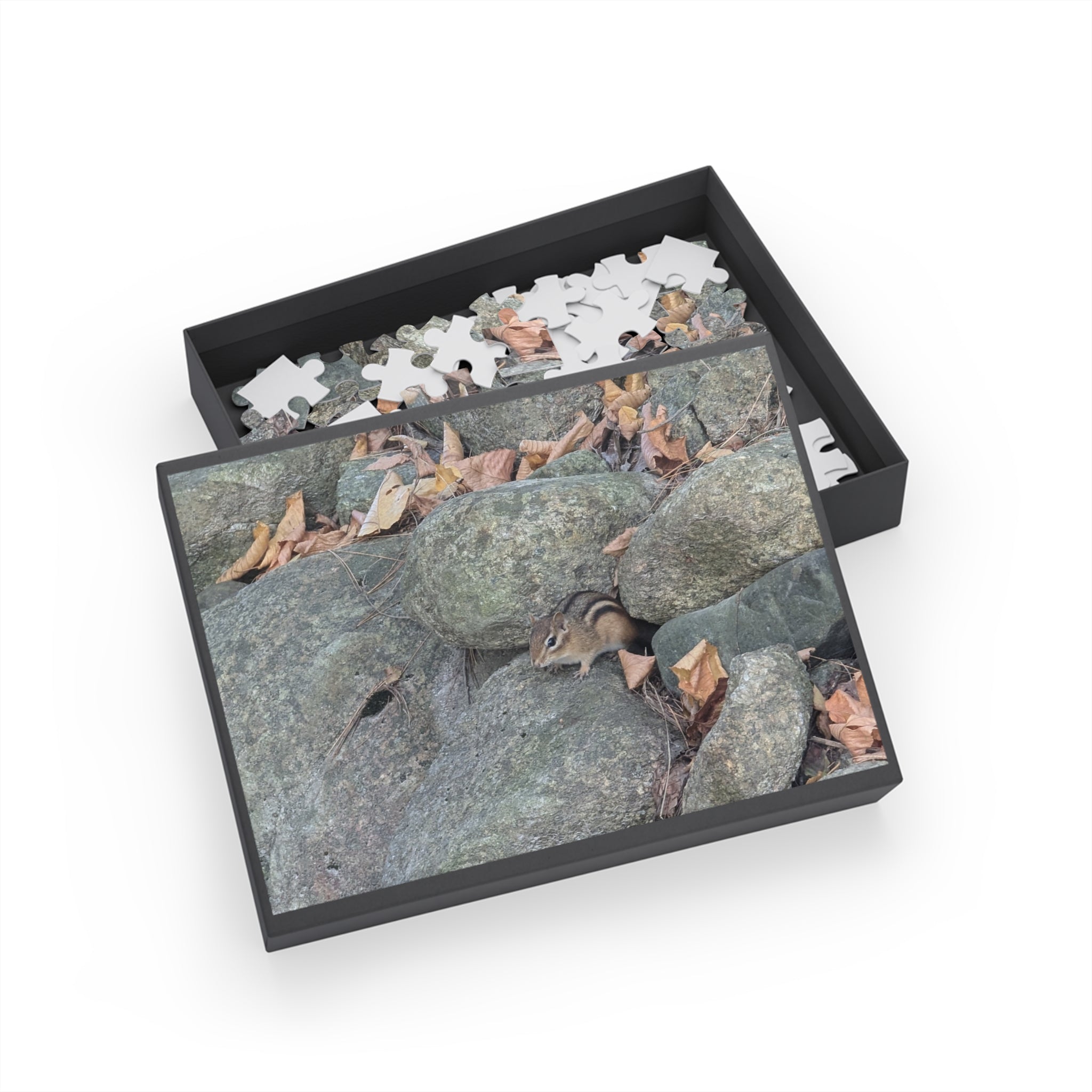 chipmunk Puzzle (96, 252, 500, 1000-Piece)