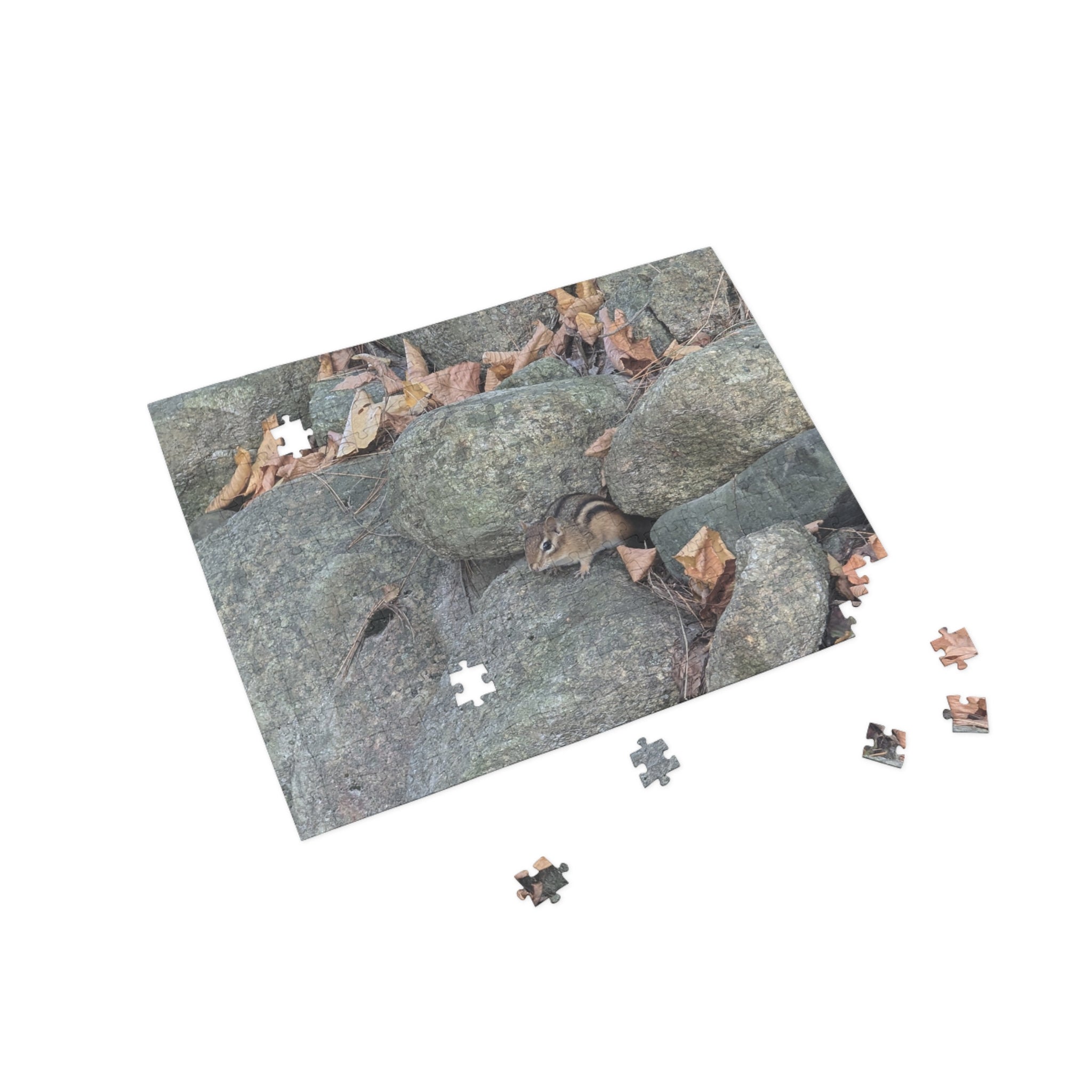 chipmunk Puzzle (96, 252, 500, 1000-Piece)