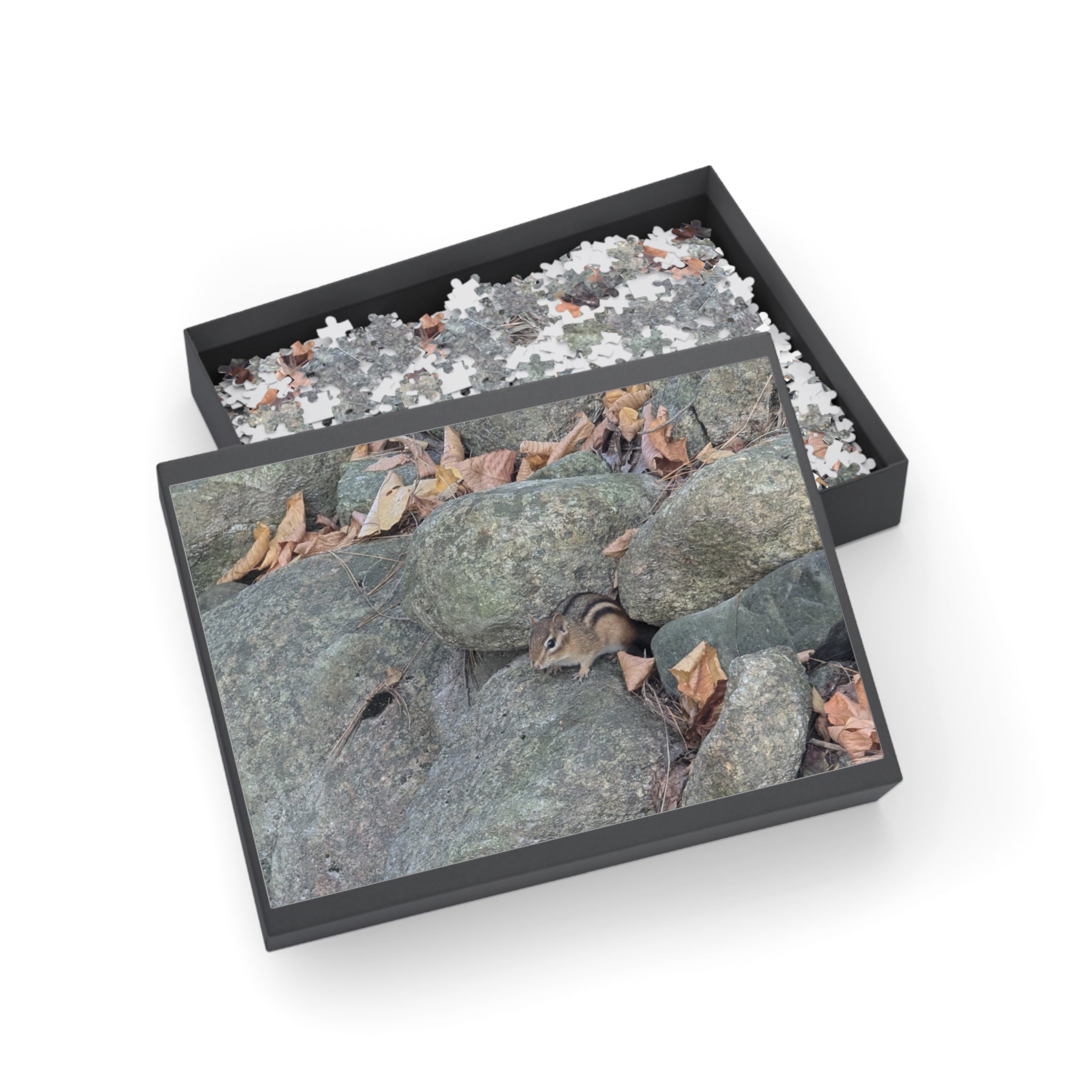 chipmunk Puzzle (96, 252, 500, 1000-Piece)