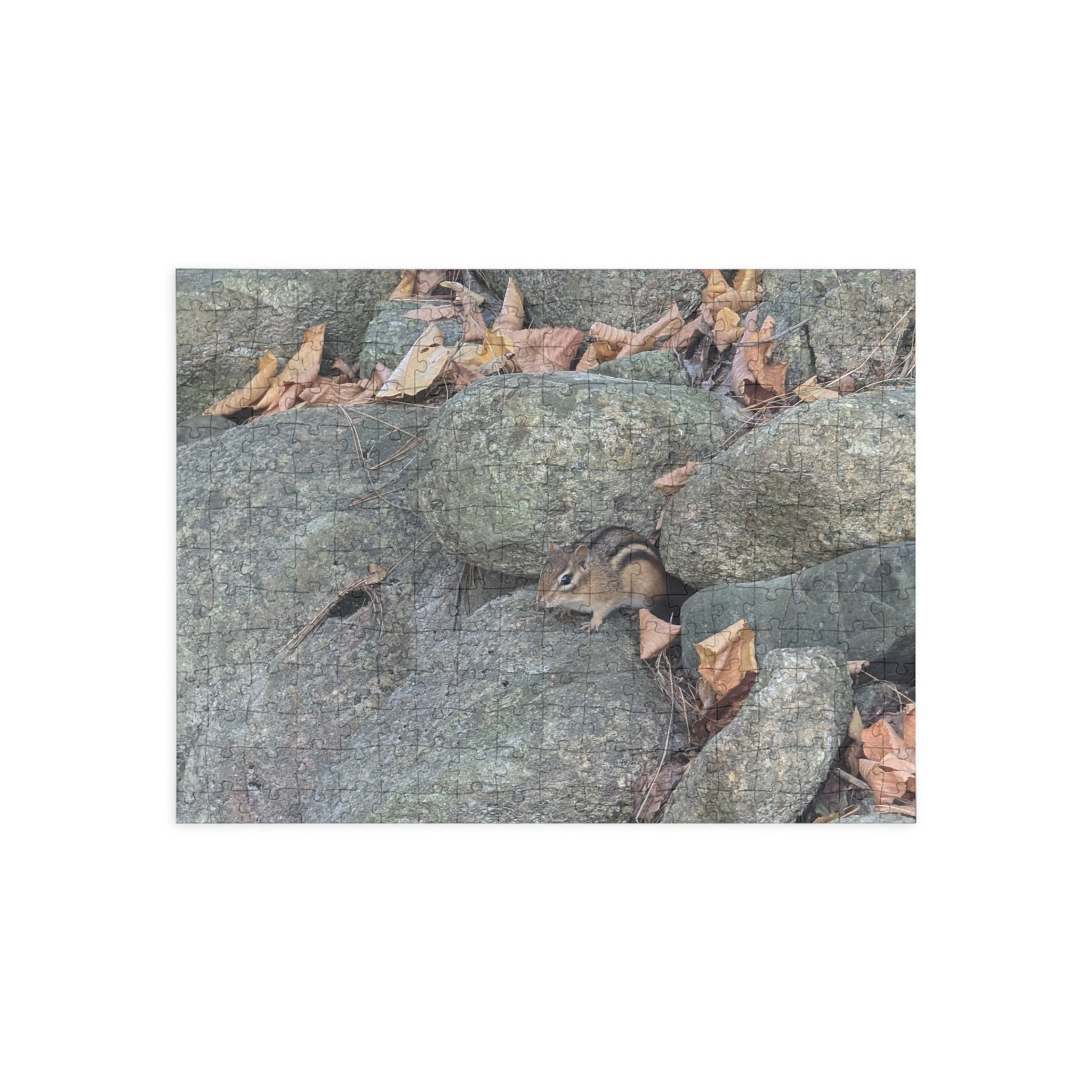 chipmunk Puzzle (96, 252, 500, 1000-Piece)
